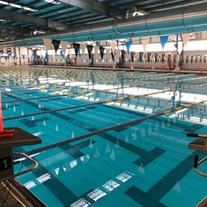 Meet your Posher, Mina